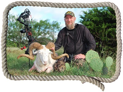 Texas Dall Sheep hunts